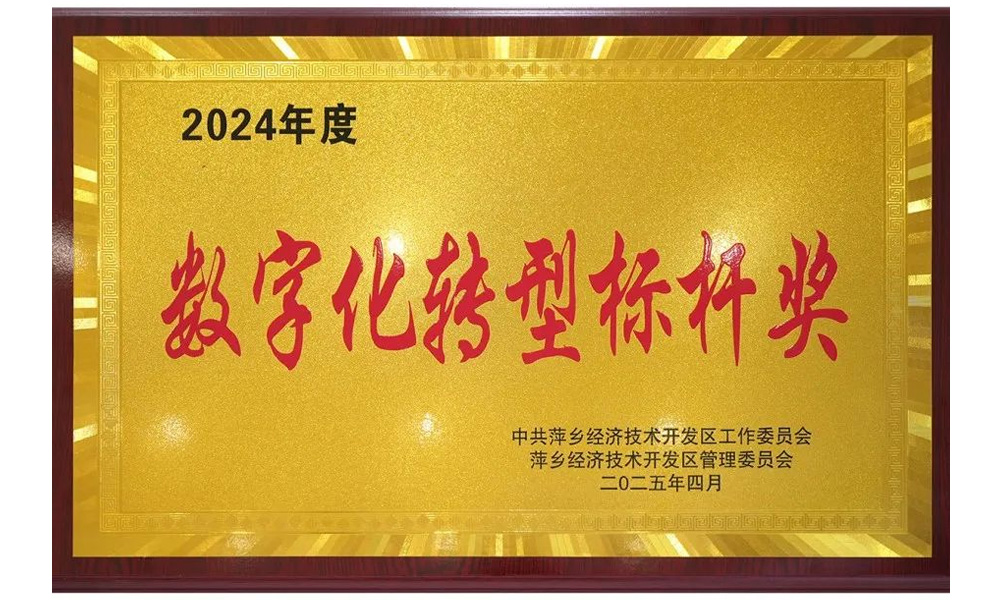 數(shù)字化轉(zhuǎn)型標(biāo)桿獎
